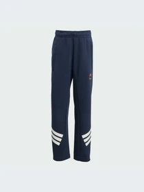 Брюки Adidas модель JM0828-KZ Фото