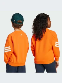Худи и свитшоты Adidas модель JL9188-KZ Фото