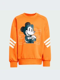 Худи и свитшоты Adidas модель JL9188-KZ Фото