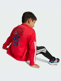 Костюмы Adidas модель JM0809-KZ Фото
