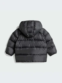 Куртки и дубленки Adidas модель JL9172-KZ Фото
