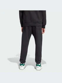 Брюки Adidas модель IX1246-KZ Фото