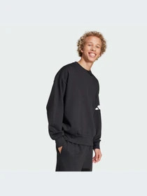 Худи и свитшоты Adidas модель JF3542-KZ Фото