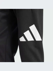 Брюки Adidas модель IN6147-KZ Фото