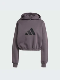 Худи и свитшоты Adidas Icons модель JE0140-KZ Фото