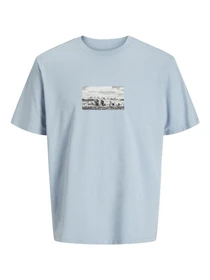 Футболки и поло JACK & JONES модель 12273775_SubduedBlue Фото