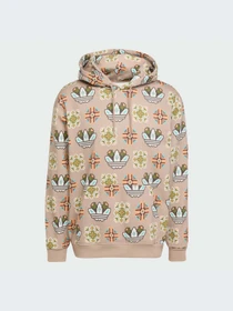 Худи и свитшоты Adidas Graphics модель JW1084-KZ Фото