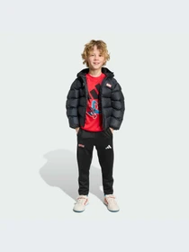 Куртки и дубленки Adidas модель JM0810-KZ Фото
