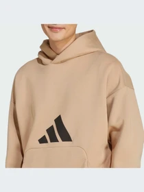 Худи и свитшоты Adidas Icons модель JW7168-KZ Фото
