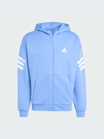 Худи и свитшоты Adidas модель JW7109-KZ Фото