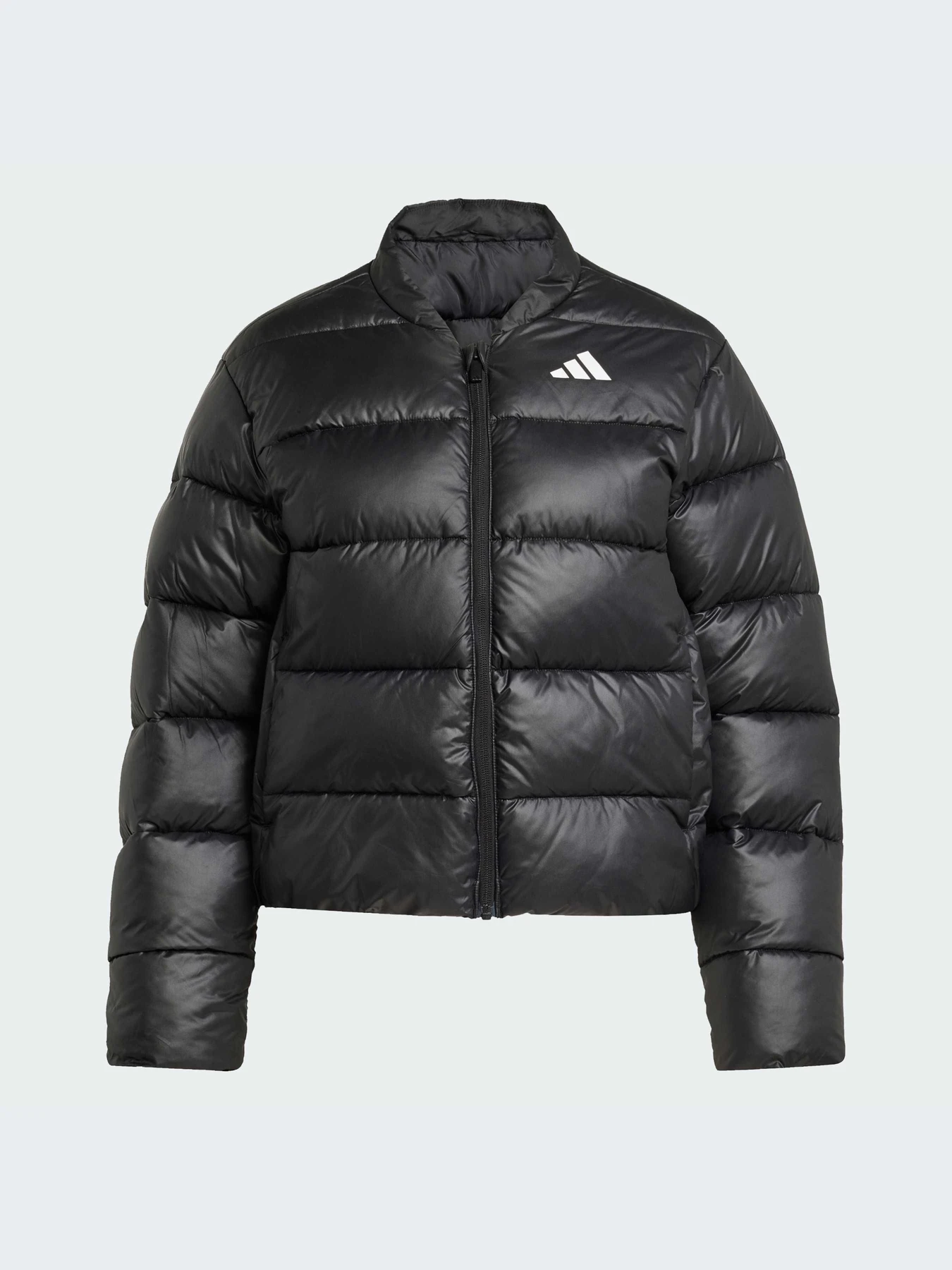 Куртки и дубленки Adidas модель JX7825-KZ Куртки и дубленки Adidas модель JX7825-KZ Фото