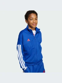 Худи и свитшоты Adidas Tiro модель JW5085-KZ Фото