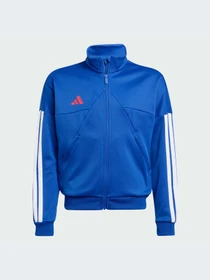 Худи и свитшоты Adidas Tiro модель JW5085-KZ Фото