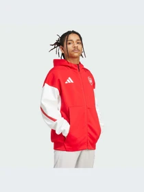 Худи и свитшоты Adidas ZNE модель JM9409-KZ Фото