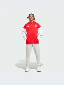 Худи и свитшоты Adidas ZNE модель JM9409-KZ Фото