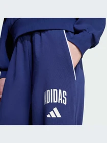 Брюки Adidas модель JM1539-KZ Фото