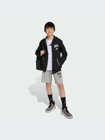 Худи и свитшоты Adidas модель JM1534-KZ Фото