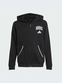 Худи и свитшоты Adidas модель JM1534-KZ Фото