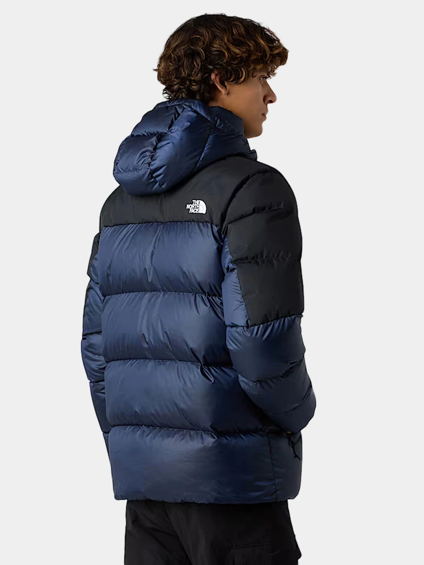 Куртки и дубленки The North Face модель NF0A8992GKI1 Фото