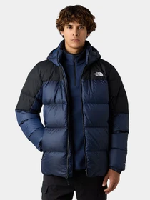 Куртки и дубленки The North Face модель NF0A8992GKI1 Фото