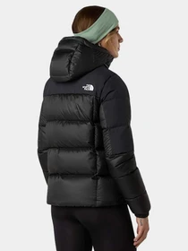 Куртки и дубленки The North Face модель NF0A8E13PH51 Фото