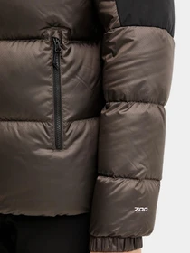 Куртки и дубленки The North Face модель NF0A8E140BI1 Фото