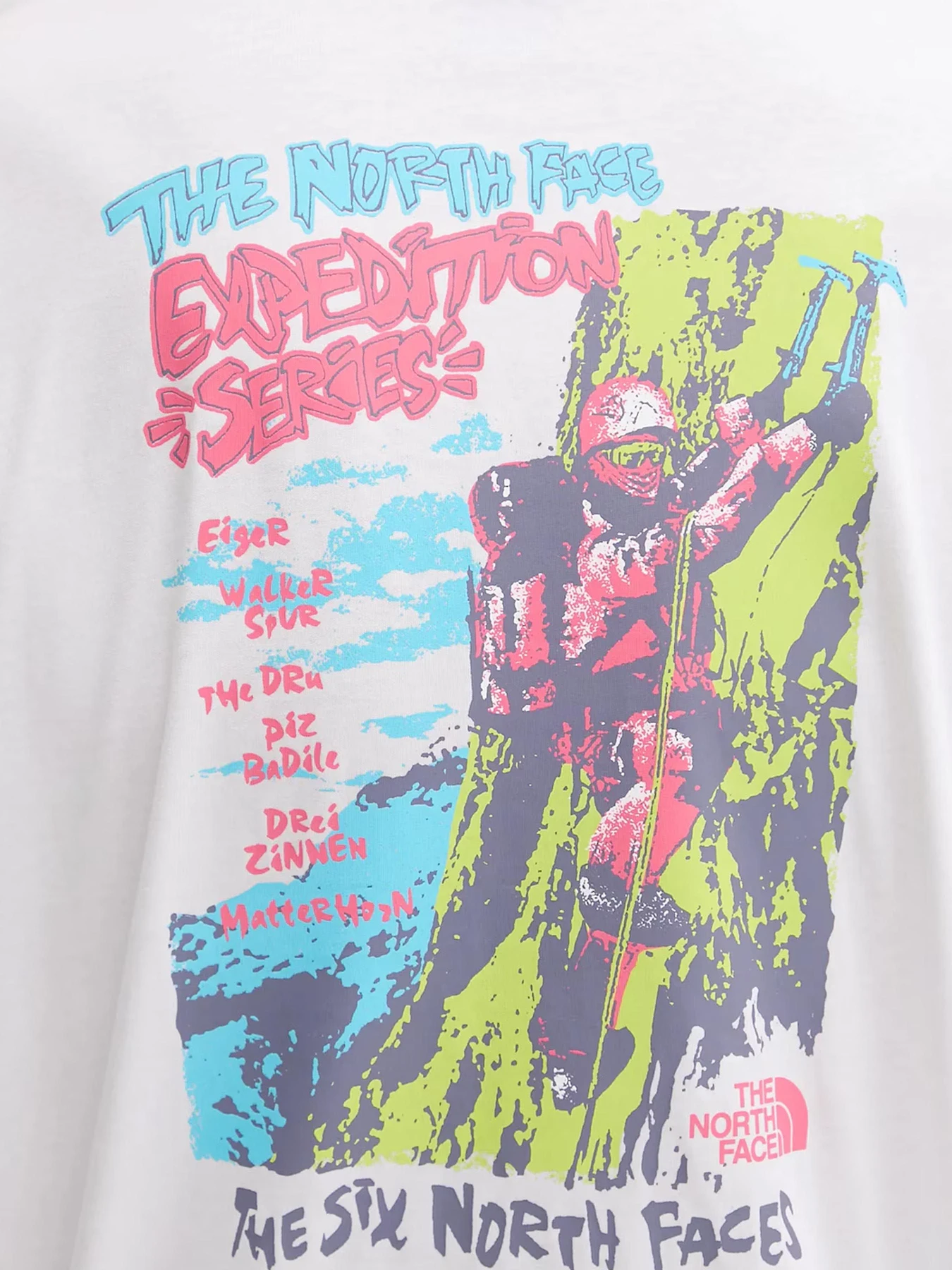 Худи и свитшоты The North Face модель NF0A8E3DFN41 Худи и свитшоты The North Face модель NF0A8E3DFN41 Фото
