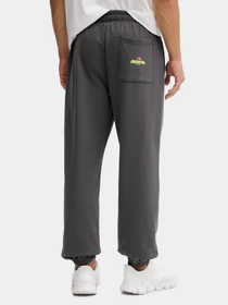 Брюки The North Face модель NF0A8E3ERHI1 Фото