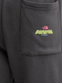 Брюки The North Face модель NF0A8E3ERHI1 Фото