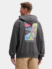 Худи и свитшоты The North Face модель NF0A8E3FRHI1 Фото