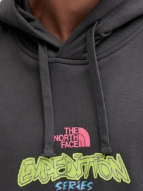 Худи и свитшоты The North Face модель NF0A8E3FRHI1 Фото