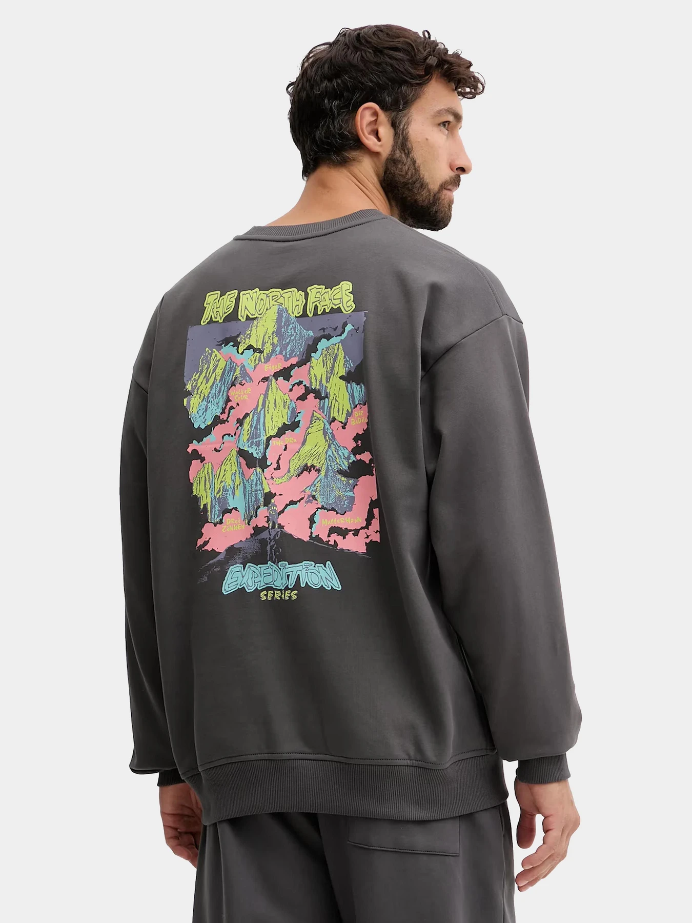 Худи и свитшоты The North Face модель NF0A8E3GRHI1 Худи и свитшоты The North Face модель NF0A8E3GRHI1 Фото