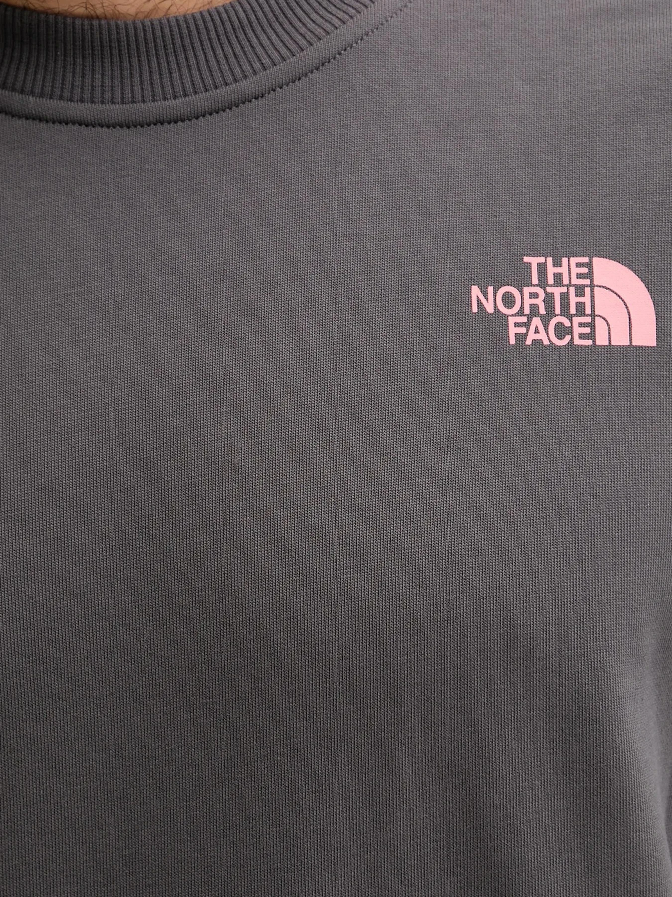 Худи и свитшоты The North Face модель NF0A8E3GRHI1 Худи и свитшоты The North Face модель NF0A8E3GRHI1 Фото