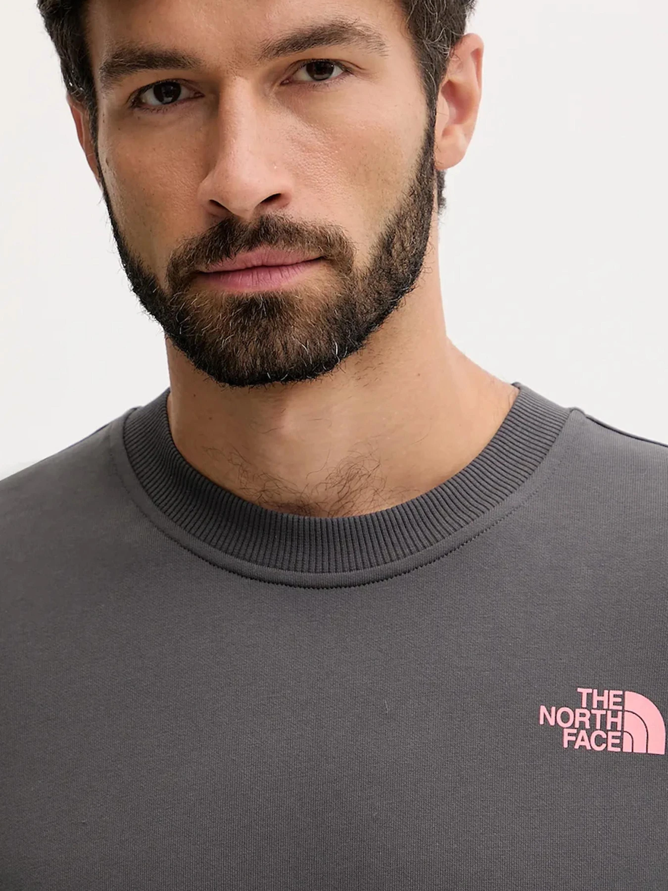 Худи и свитшоты The North Face модель NF0A8E3GRHI1 Худи и свитшоты The North Face модель NF0A8E3GRHI1 Фото
