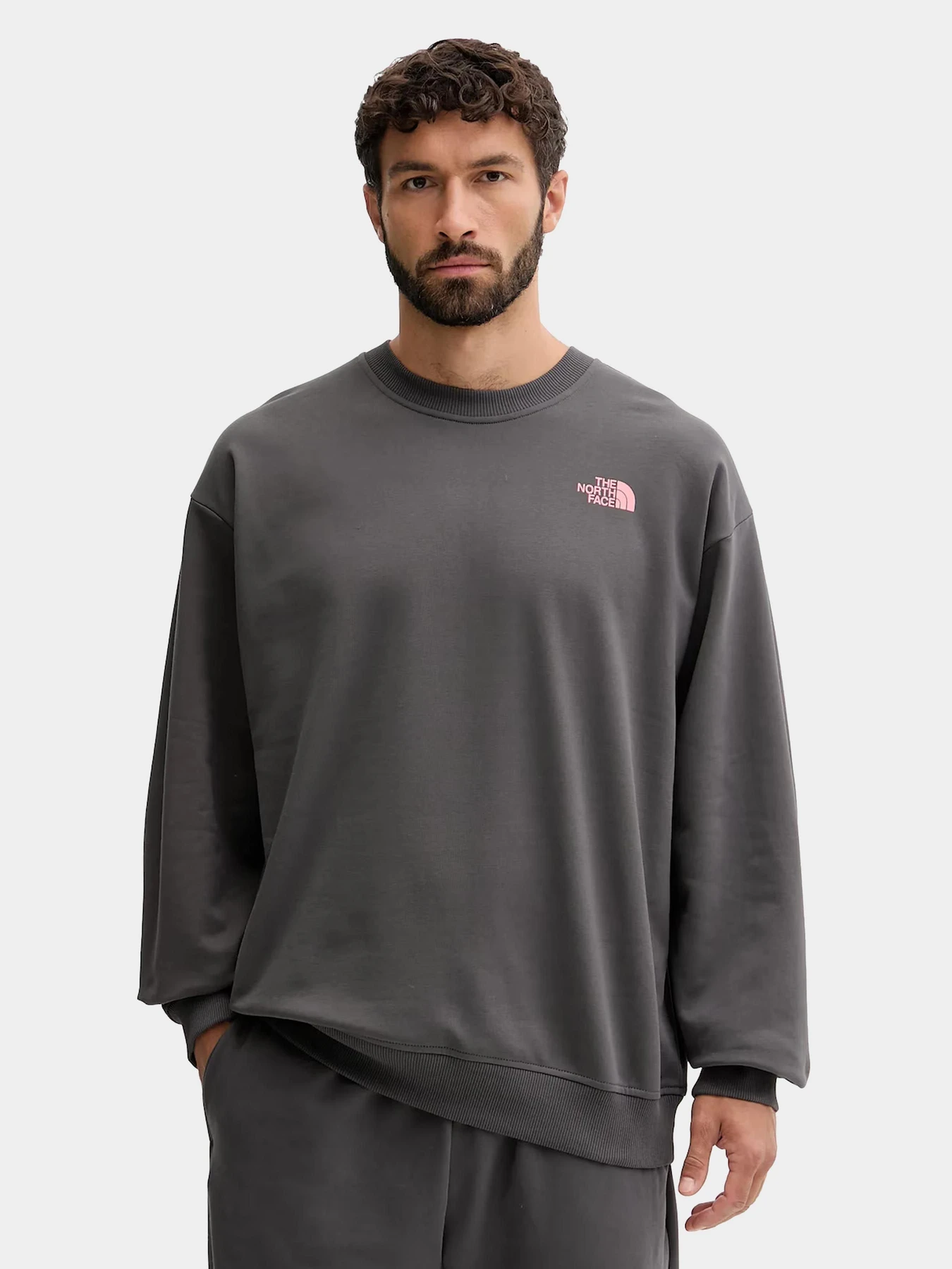 Худи и свитшоты The North Face модель NF0A8E3GRHI1 Худи и свитшоты The North Face модель NF0A8E3GRHI1 Фото