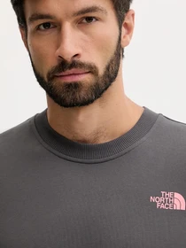 Худи и свитшоты The North Face модель NF0A8E3GRHI1 Фото