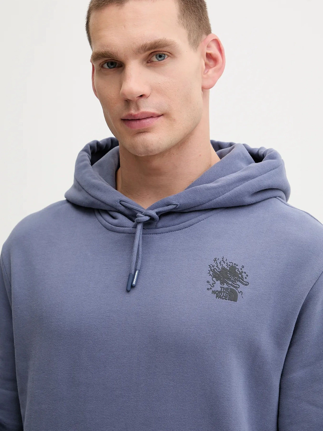 Худи и свитшоты The North Face модель NF0A8E4GBTR1 Худи и свитшоты The North Face модель NF0A8E4GBTR1 Фото