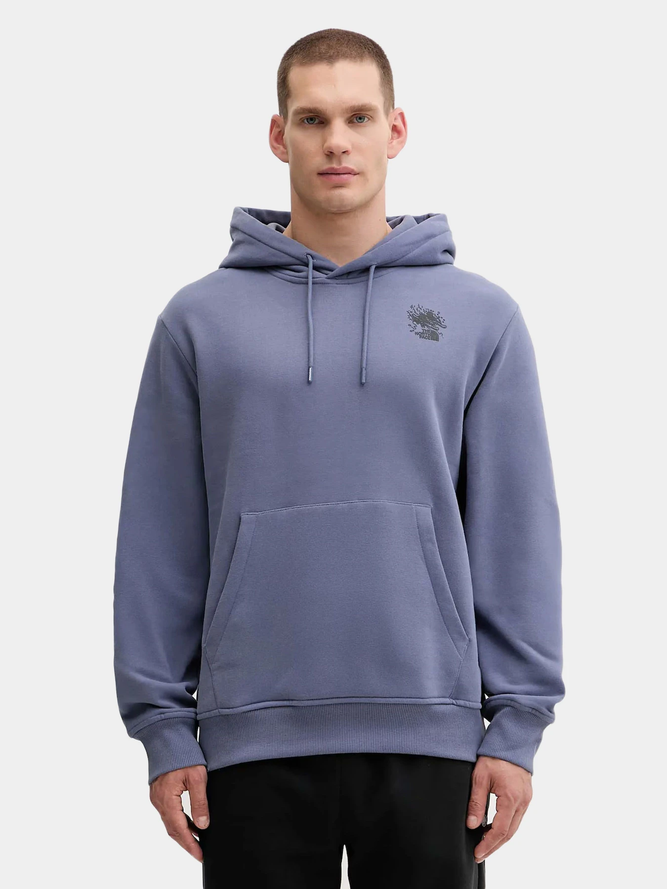 Худи и свитшоты The North Face модель NF0A8E4GBTR1 Худи и свитшоты The North Face модель NF0A8E4GBTR1 Фото