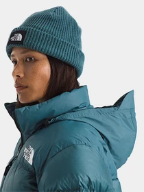 Куртки и дубленки The North Face модель NF0A3XEOBQ51 Фото