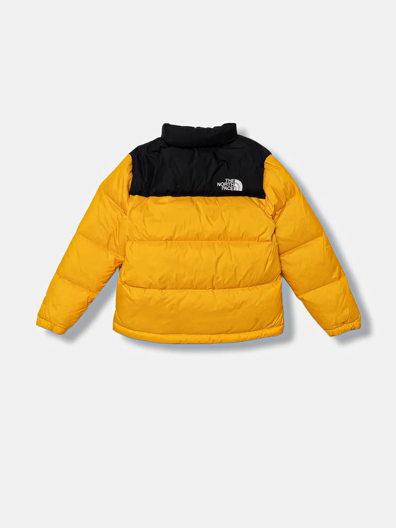 Куртки и дубленки The North Face модель NF0A8A4CGO71 Фото