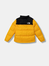 Куртки и дубленки The North Face модель NF0A8A4CGO71 Фото