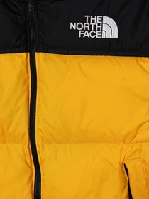 Куртки и дубленки The North Face модель NF0A8A4CGO71 Фото