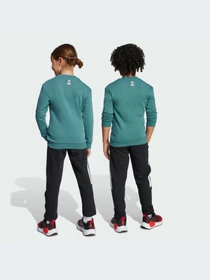 Костюмы Adidas модель JM0808-KZ Фото