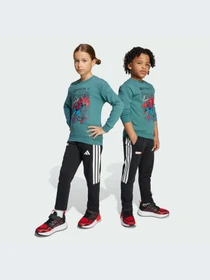 Костюмы Adidas модель JM0808-KZ Фото