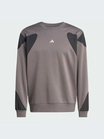 Худи и свитшоты Adidas модель JV8019-KZ Фото