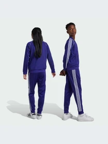 Брюки Adidas Adicolor модель IY7464-KZ Фото