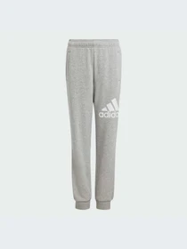 Брюки Adidas модель IX9587-KZ Фото