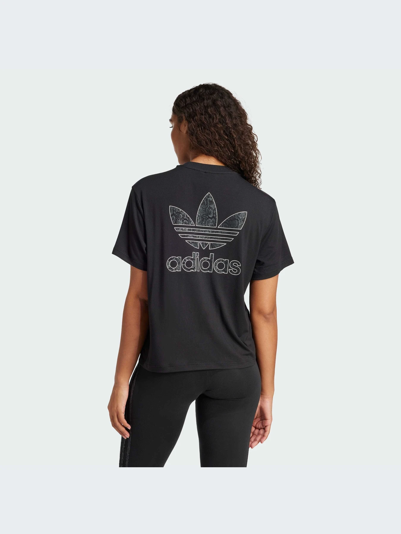 Футболки и поло Adidas Graphics модель JC5748-KZ Футболки и поло Adidas Graphics модель JC5748-KZ Фото