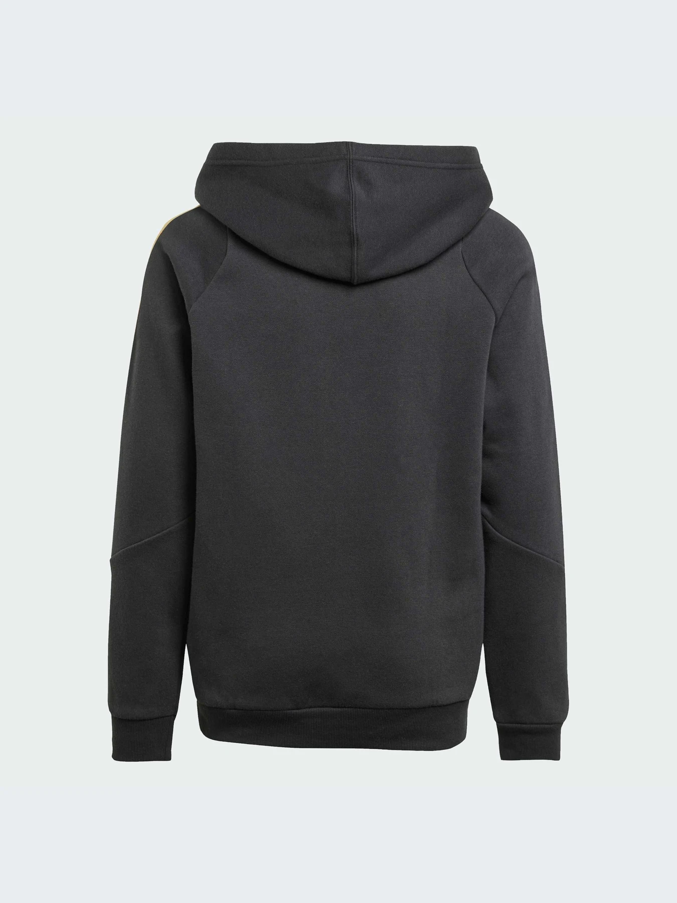 Худи и свитшоты Adidas модель IZ0576-KZ Худи и свитшоты Adidas модель IZ0576-KZ Фото