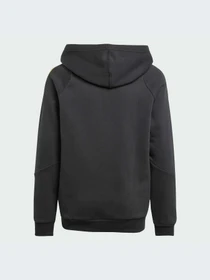 Худи и свитшоты Adidas модель IZ0576-KZ Фото